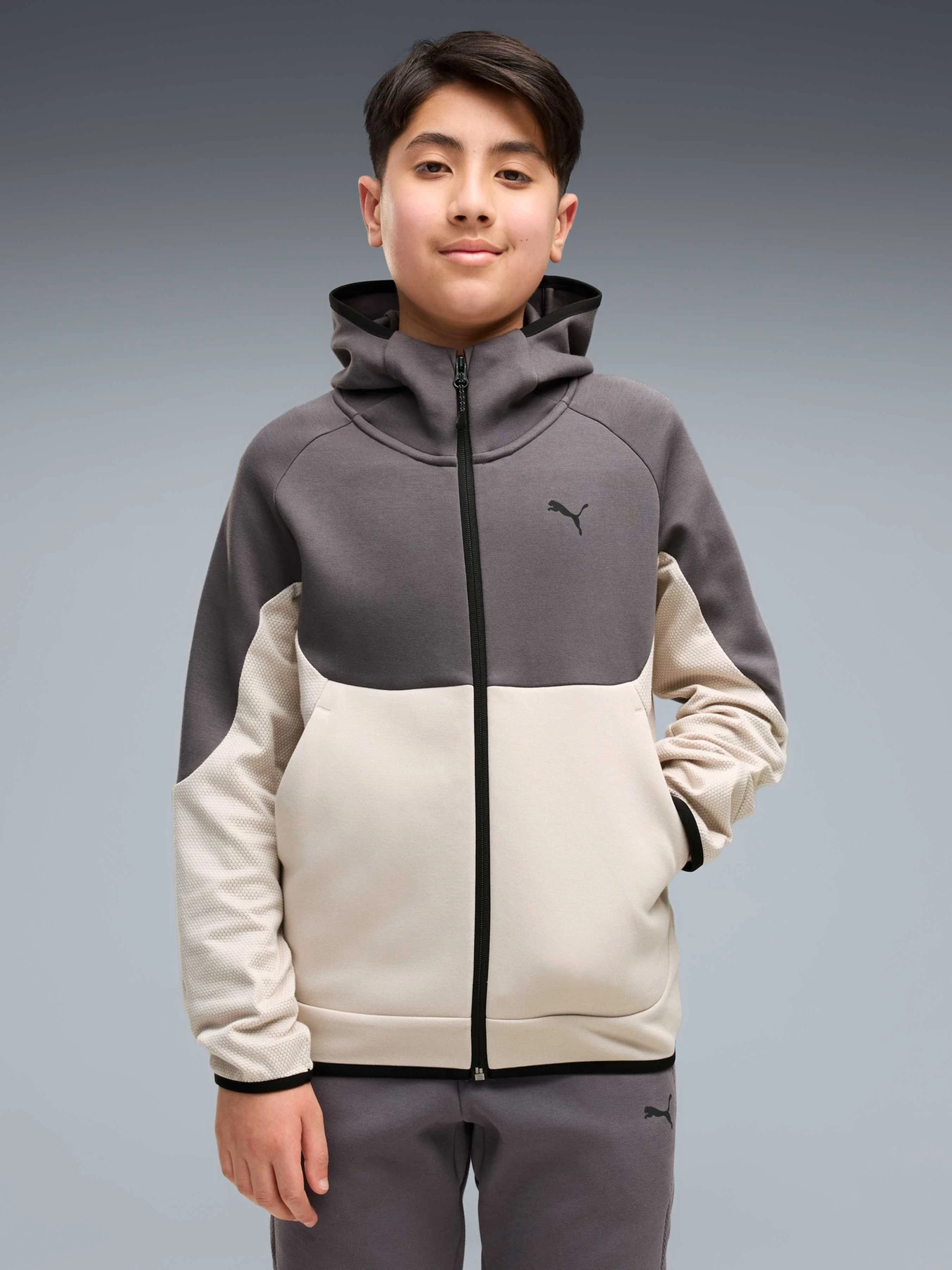 Худи и свитшоты PUMA Tech Full-zip Hoodie модель 694733 Худи и свитшоты PUMA Tech Full-zip Hoodie модель 694733 Фото