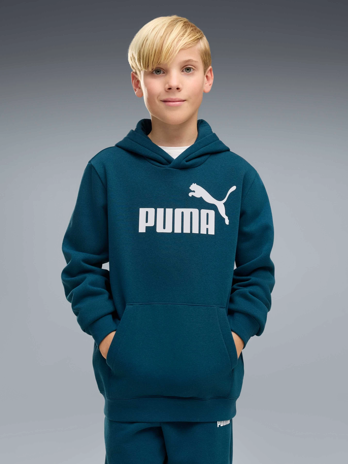 Худи и свитшоты PUMA Ess No. 1 Logo Hoodie Fl модель 684908 Худи и свитшоты PUMA Ess No. 1 Logo Hoodie Fl модель 684908 Фото