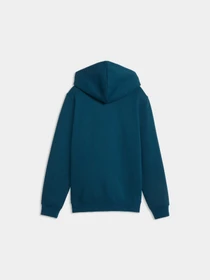 Худи и свитшоты PUMA Ess No. 1 Logo Hoodie Fl модель 684908 Фото