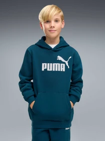 Худи и свитшоты PUMA Ess No. 1 Logo Hoodie Fl модель 684908 Фото