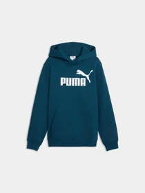 Худі та світшоти PUMA Ess No. 1 Logo Hoodie Fl модель 684908 Фото