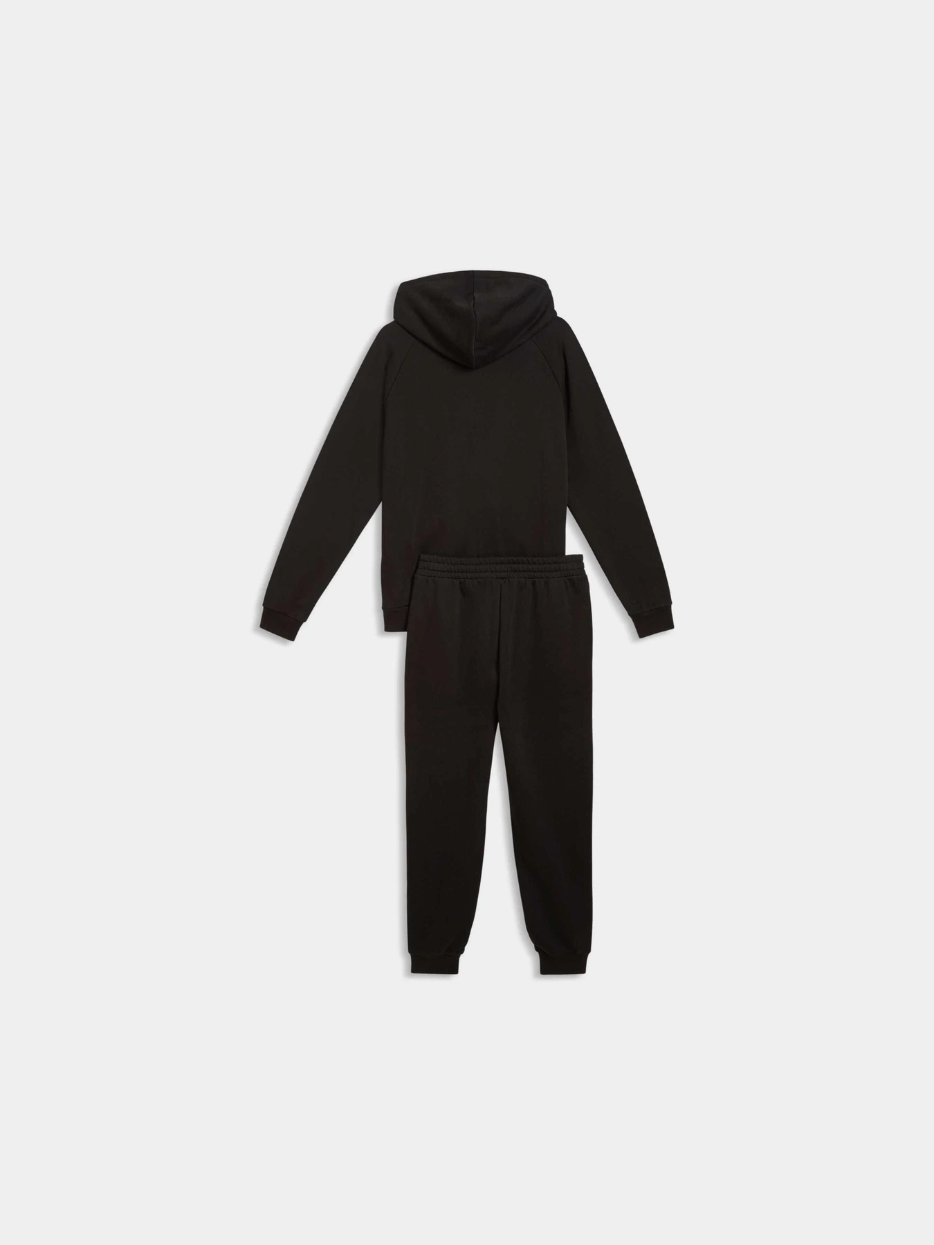 Костюмы PUMA Sweat Suit модель 694351 Фото