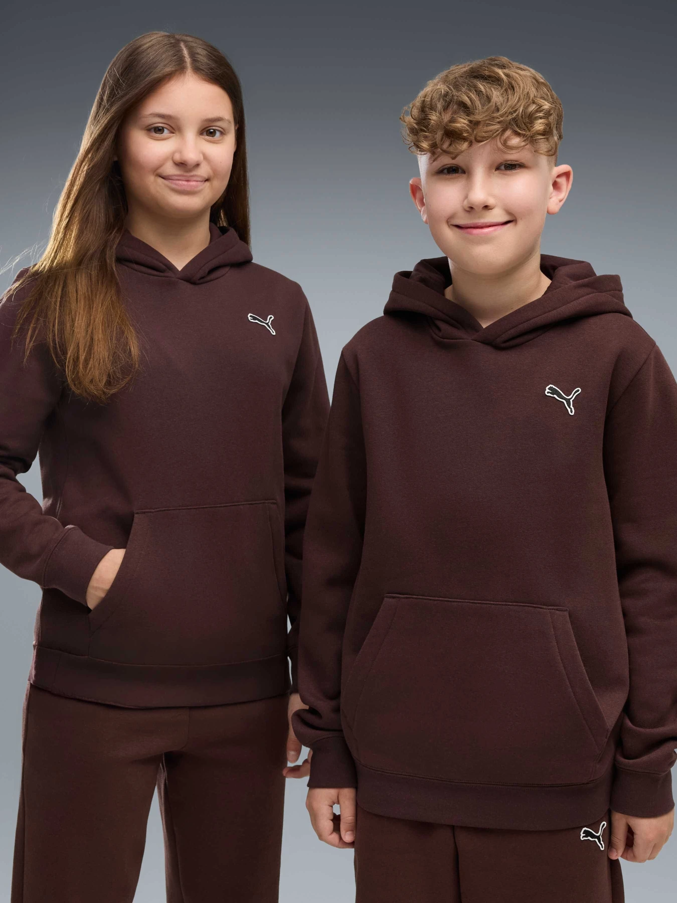 Худі та світшоти PUMA Ess Elevated Hoodie Fl модель 694701 Фото