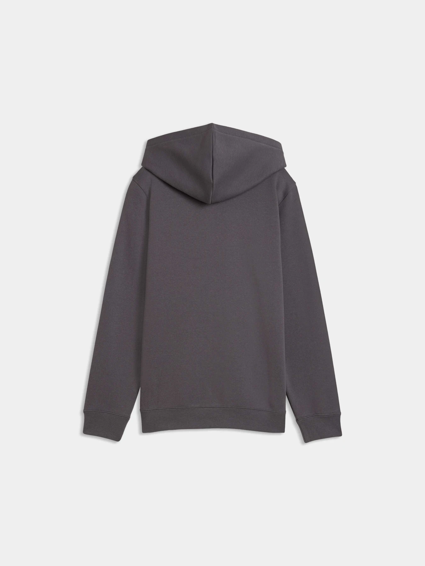 Худі та світшоти PUMA Ess Elevated Hoodie Fl модель 694701 Фото