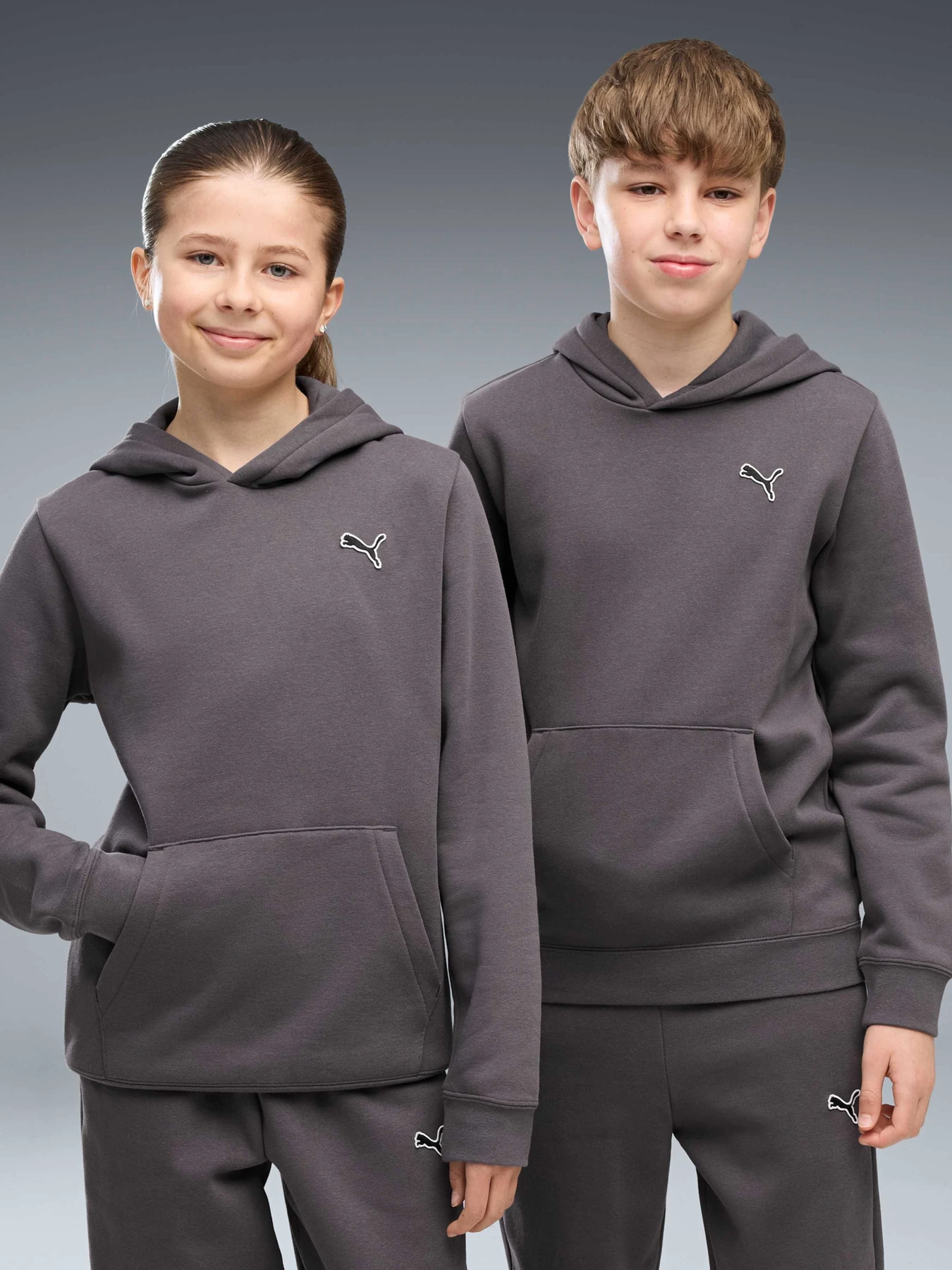 Худі та світшоти PUMA Ess Elevated Hoodie Fl модель 694701 Фото