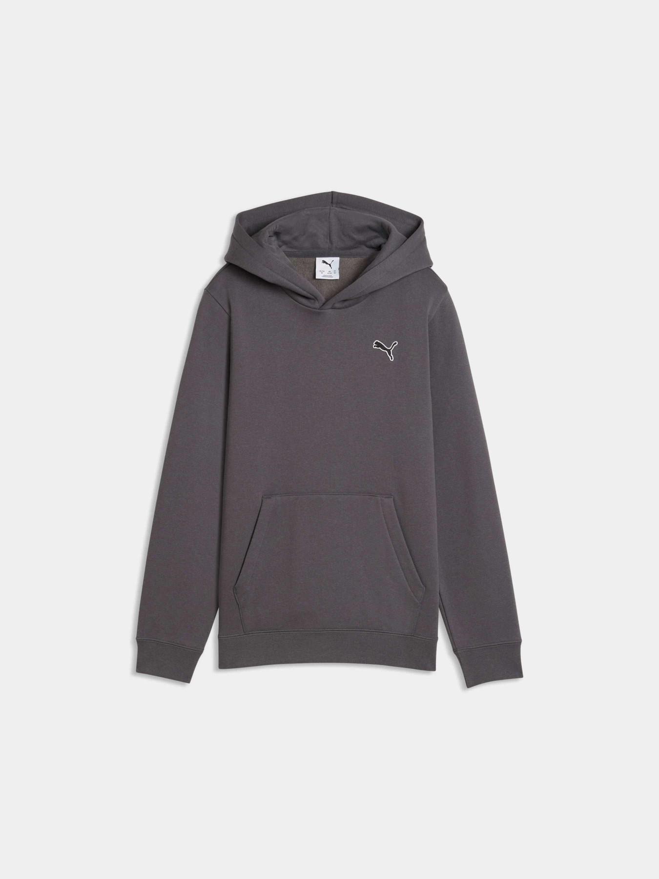 Худі та світшоти PUMA Ess Elevated Hoodie Fl модель 694701 Фото