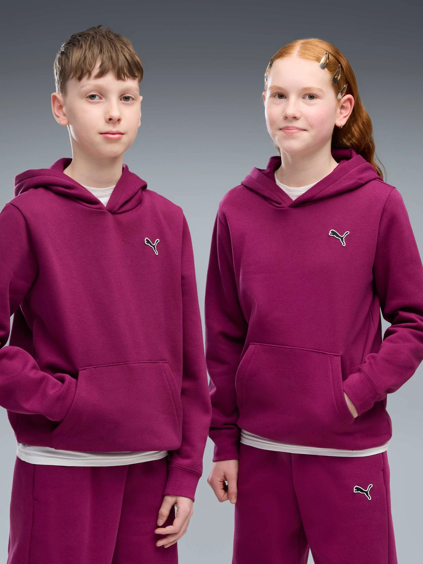 Худі та світшоти PUMA Ess Elevated Hoodie Fl модель 694701 Фото