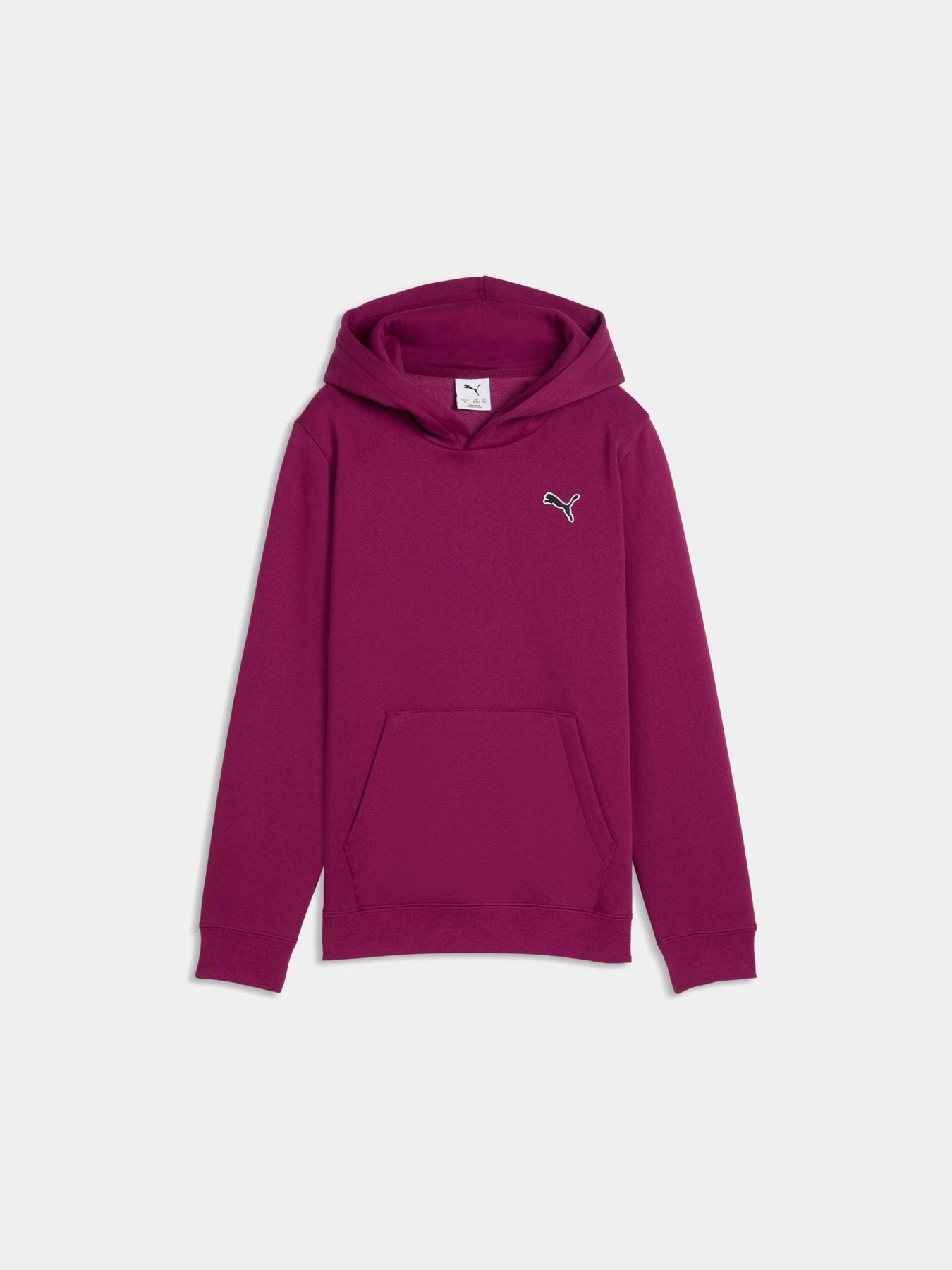 Худі та світшоти PUMA Ess Elevated Hoodie Fl модель 694701 Фото
