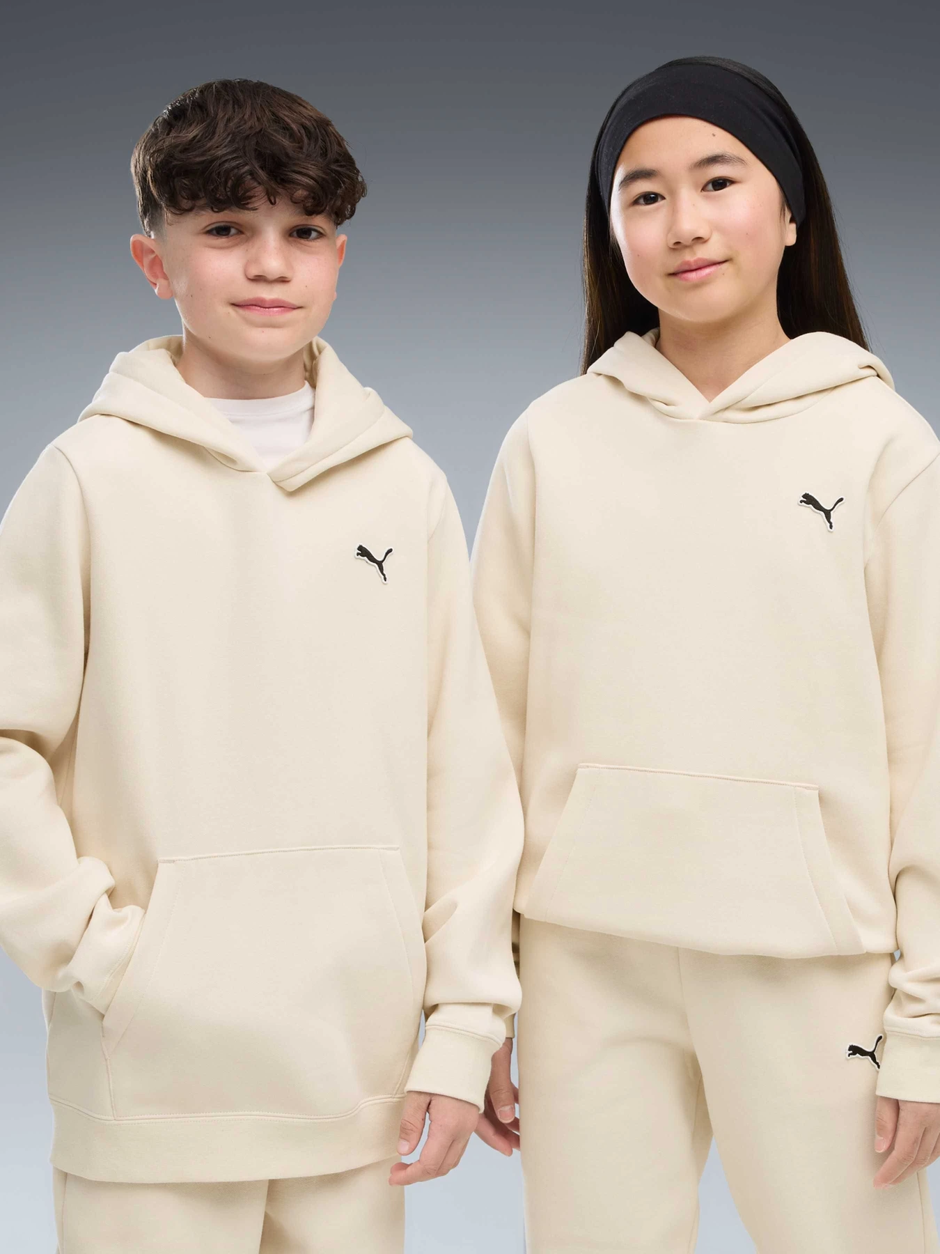 Худі та світшоти PUMA Ess Elevated Hoodie Fl модель 694701 Фото
