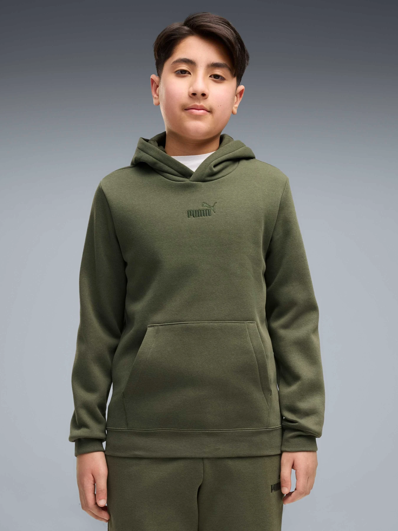 Худі та світшоти PUMA Ess Small No.1 Logo Centered модель 692976 Худі та світшоти PUMA Ess Small No.1 Logo Centered модель 692976 Фото