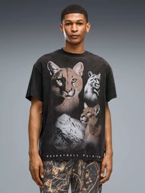 Футболки и поло PUMA Dylan Wildcat Tee Ii модель 637218 Фото