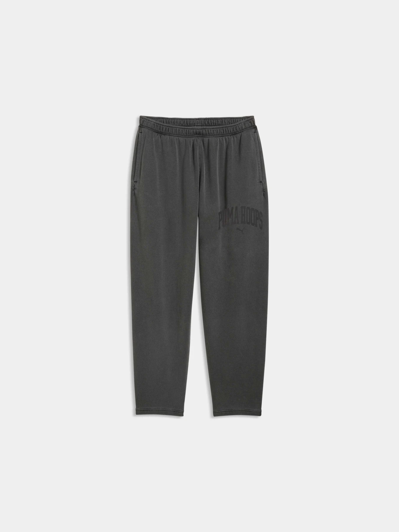 Брюки PUMA Back To Hoops Sweatpants Fl модель 637548 Фото