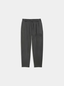 Брюки PUMA Back To Hoops Sweatpants Fl модель 637548 Фото