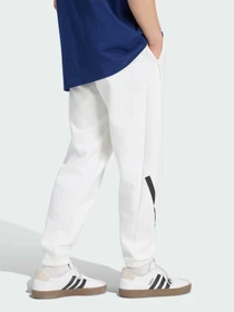 Брюки Adidas ZNE модель KF3817 Фото