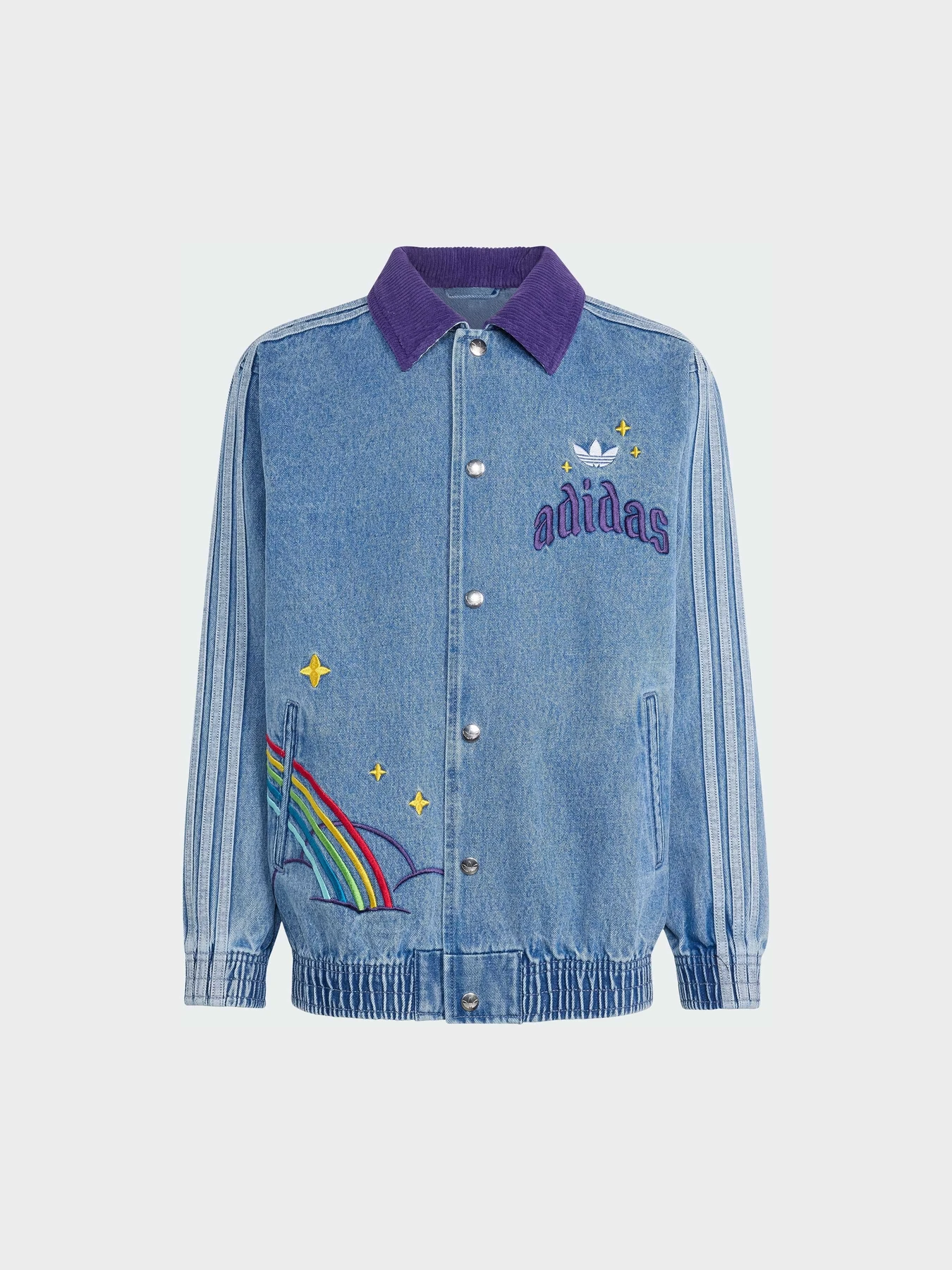 Куртки и дубленки Adidas Graphics модель KS1734 Фото