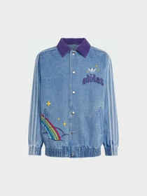Куртки и дубленки Adidas Graphics модель KS1734 Фото