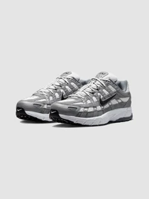 Кросівки NIKE P-6000 модель IR2004-100 Фото