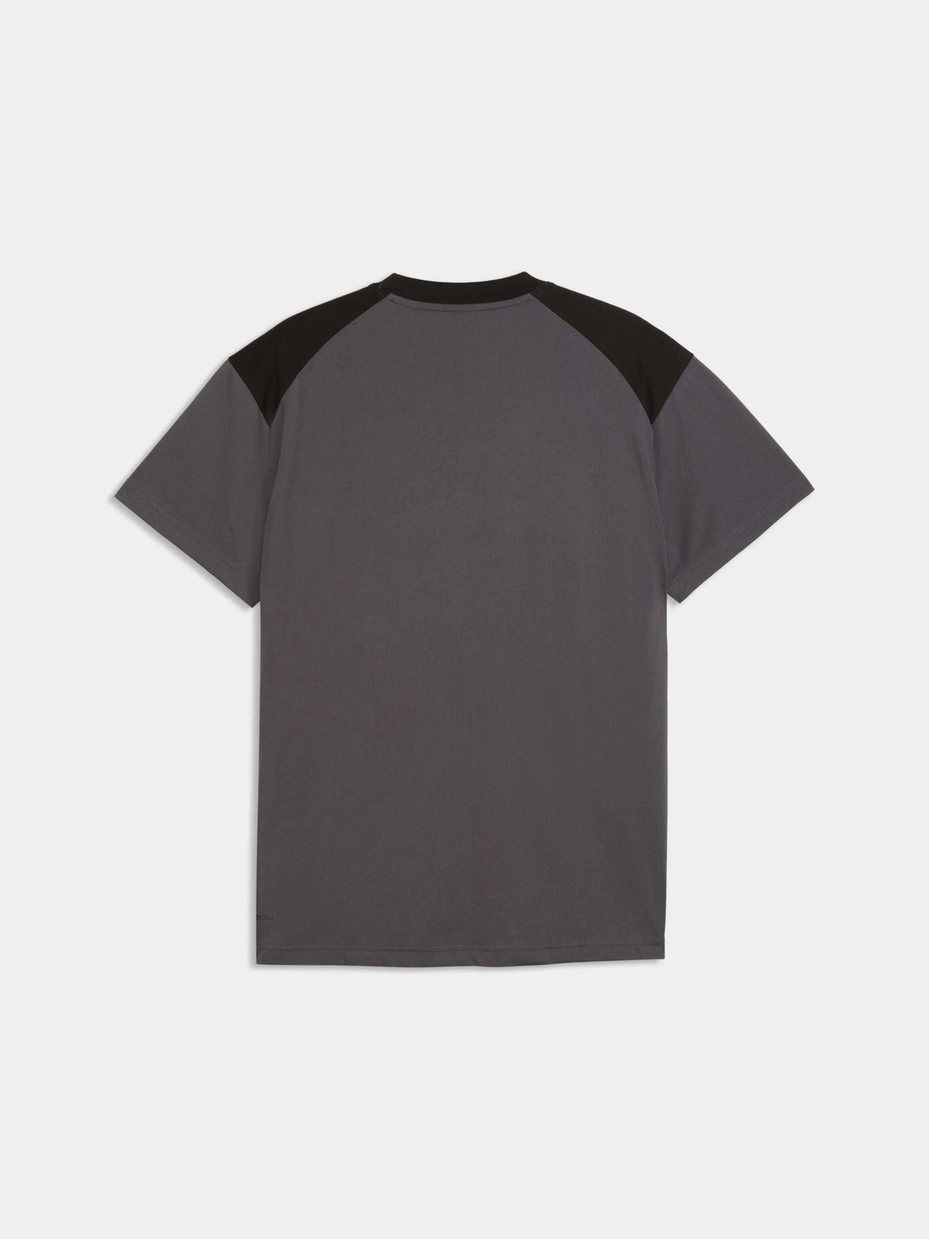 Футболки и поло PUMA Tech Tee модель 693946 Футболки и поло PUMA Tech Tee модель 693946 Фото