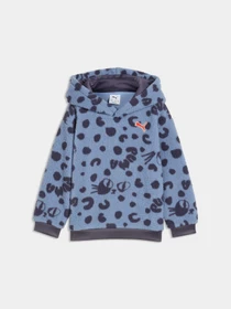 Худи и свитшоты PUMA Imaginary Friend Hoodie модель 637423 Фото