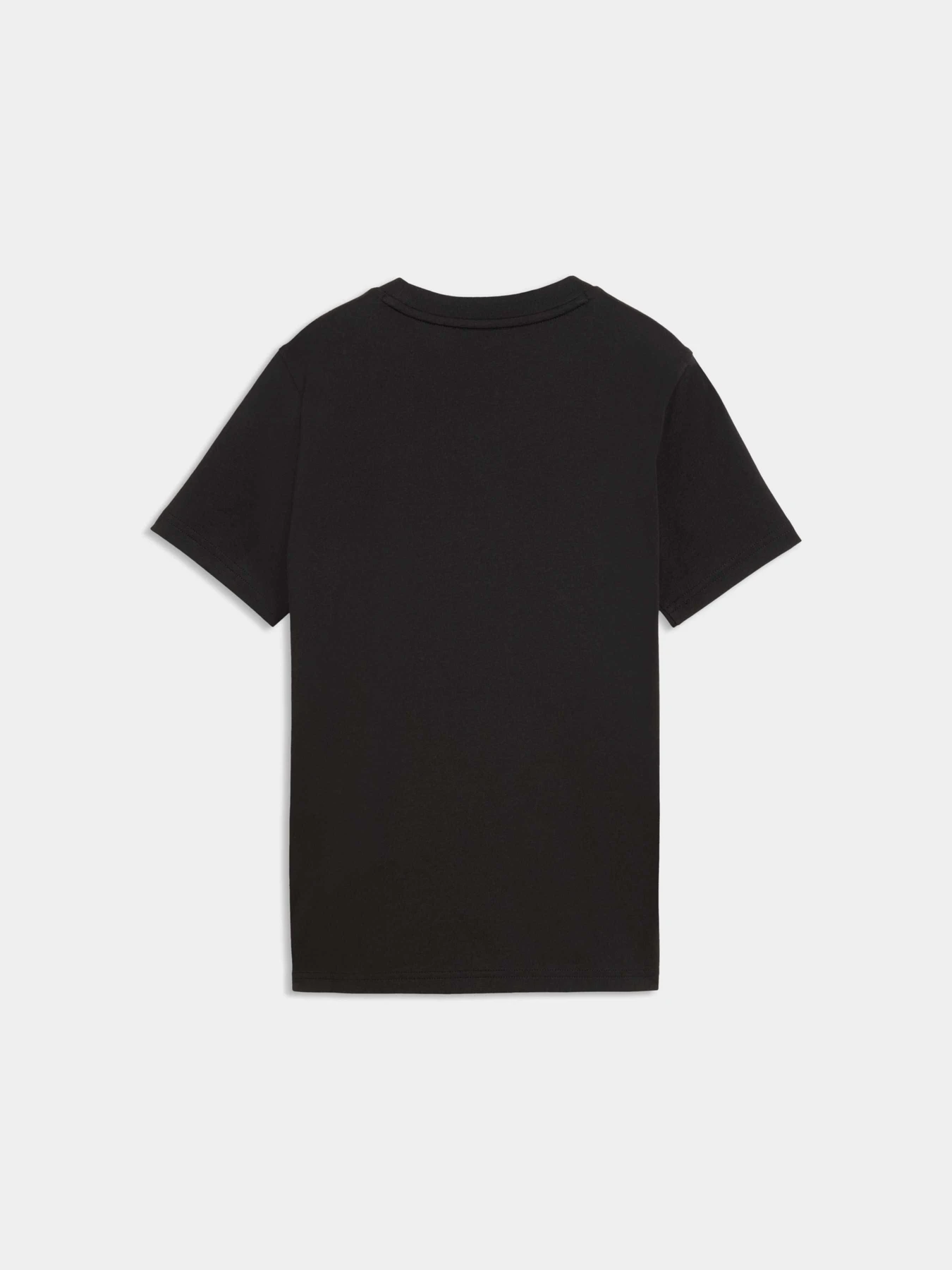Футболки и поло PUMA Graphic Tee модель 694619 Фото