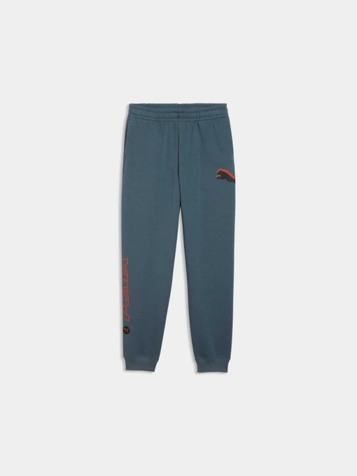 Брюки PUMA Street Sweatpants модель 694672 Фото