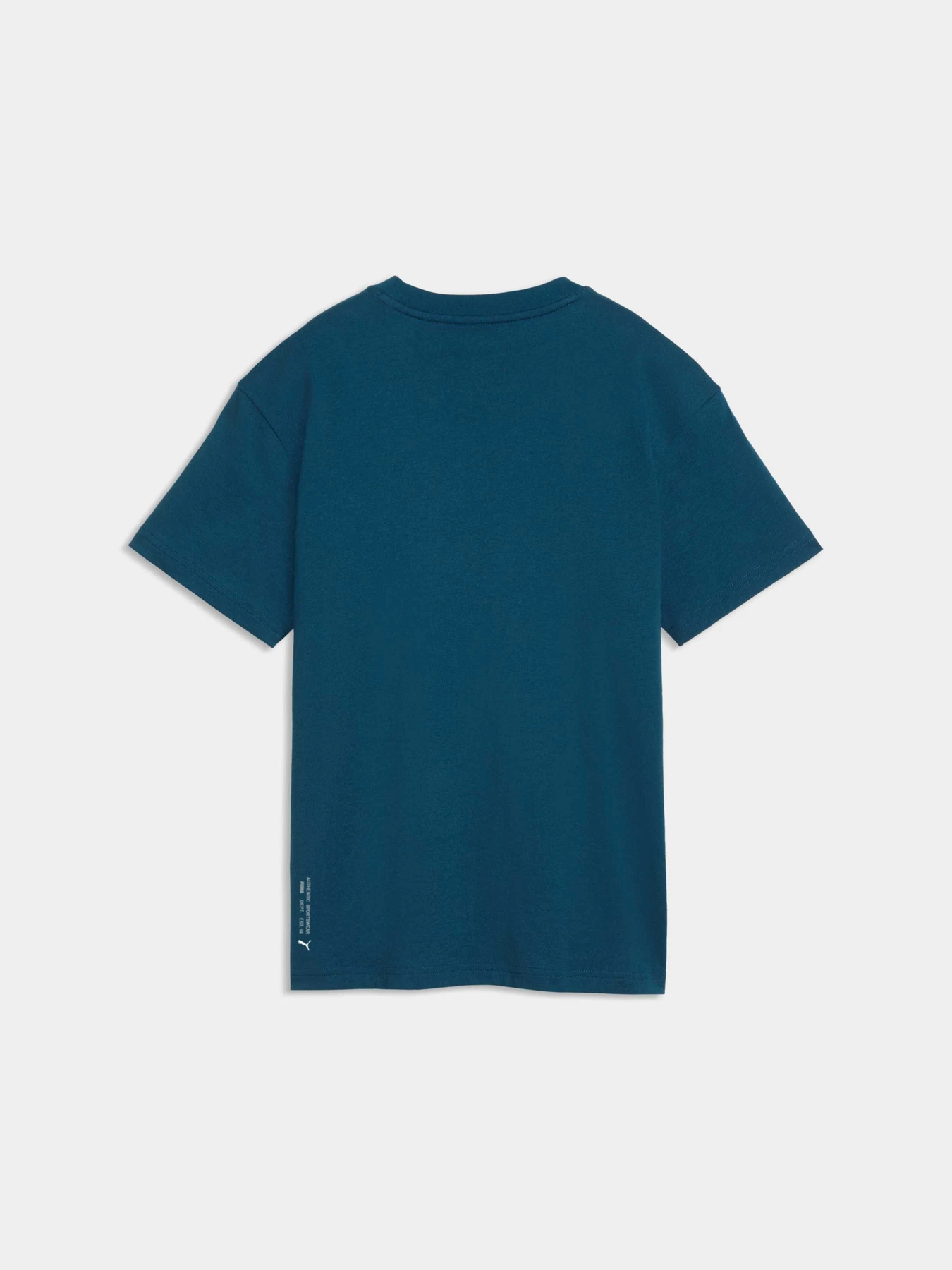 Футболки и поло PUMA Sport Graphic Tee модель 694819 Футболки и поло PUMA Sport Graphic Tee модель 694819 Фото