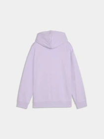 Худи и свитшоты PUMA Mid90s Graphic Hoodie модель 694634 Фото
