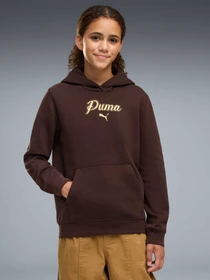 Худи и свитшоты PUMA Ess Script Glitter Hoodie Fl модель 694656 Фото