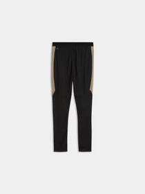 Штани PUMA Individualfinal Trg Pants модель 661014 Фото
