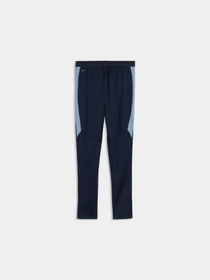 Брюки PUMA Individualfinal Trg Pants модель 661014 Фото