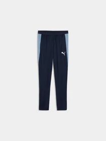 Штани PUMA Individualfinal Trg Pants модель 661014 Фото