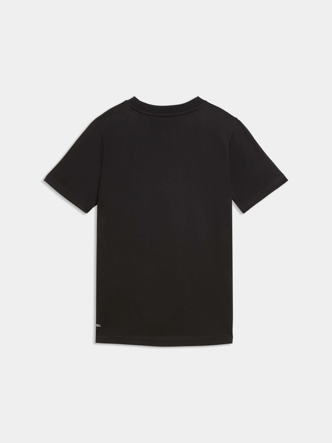 Футболки и поло PUMA Active Sports Graphic Tee модель 529266 Фото