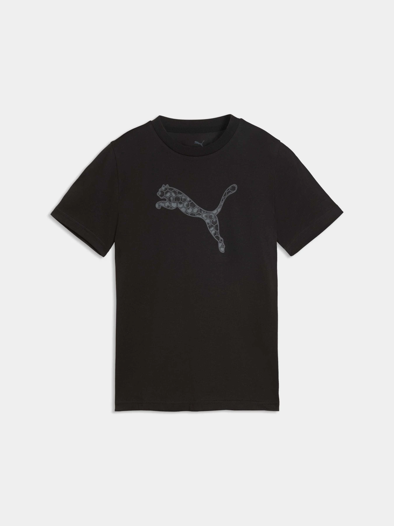 Футболки и поло PUMA Active Sports Graphic Tee модель 529266 Фото
