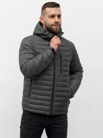 Куртки та дублянки AVALON модель 908-bat-VAV-Gray Фото