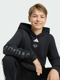 Худи и свитшоты Adidas модель KG6130 Фото