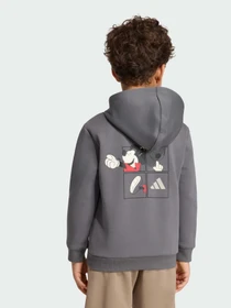Худи и свитшоты Adidas модель KG6124 Фото