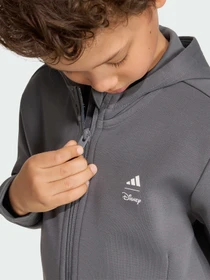 Худи и свитшоты Adidas модель KG6124 Фото