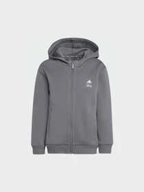 Худи и свитшоты Adidas модель KG6124 Фото