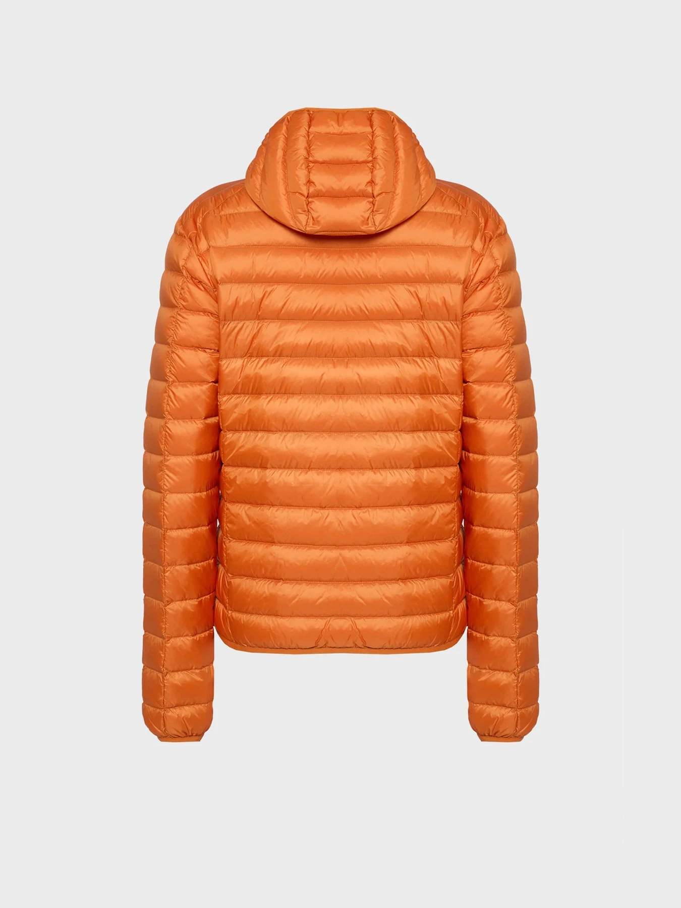 Куртки та дублянки JOTT модель JOT-P003-PF22MDOW01-8690 Фото