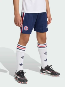 Шорты Adidas модель JZ3074 Фото