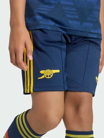 Шорты Adidas модель KB9960 Фото