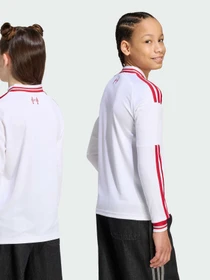 Худи и свитшоты Adidas модель KB8299 Фото