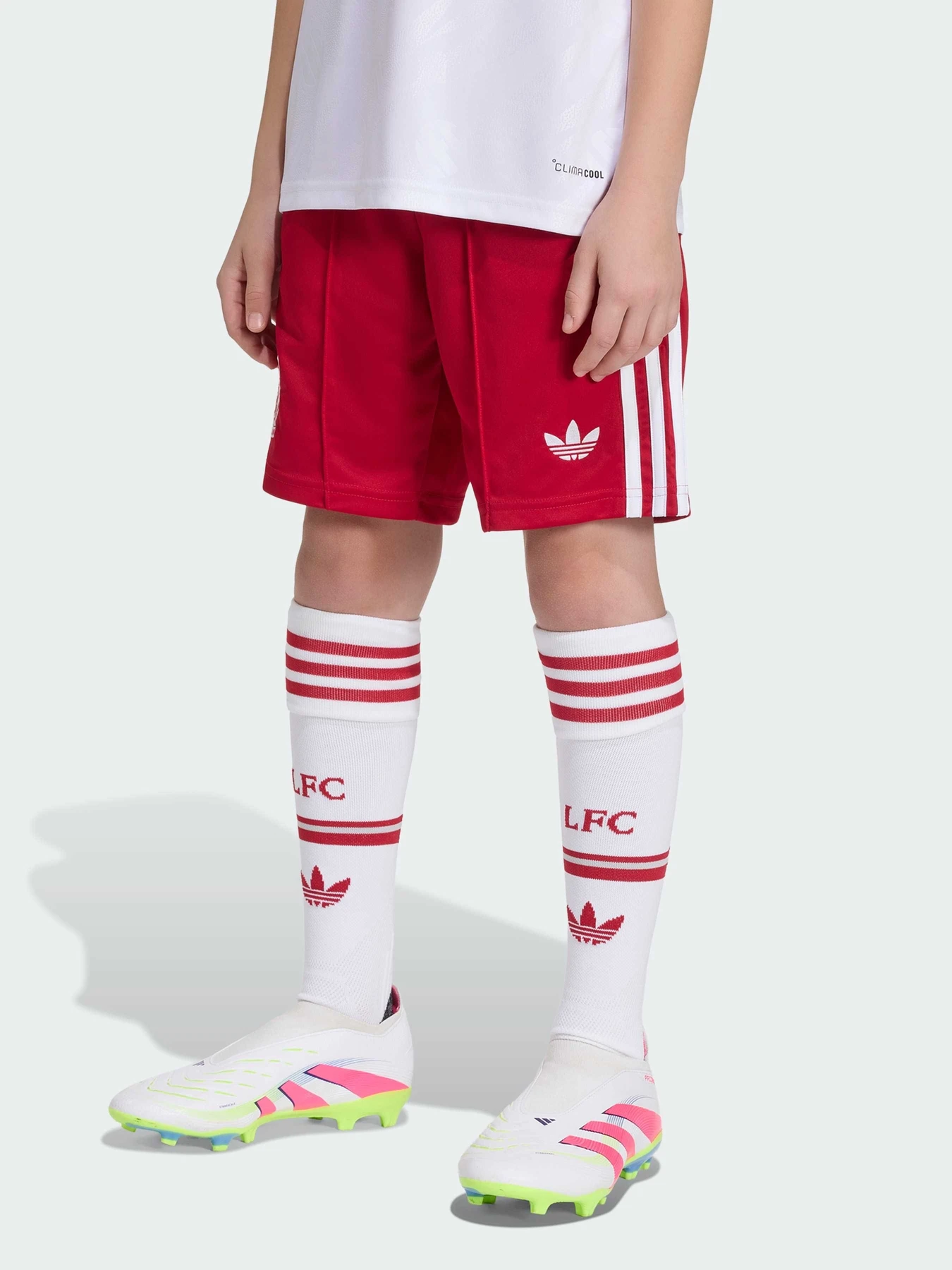 Шорты Adidas модель KB8309 Шорты Adidas модель KB8309 Фото