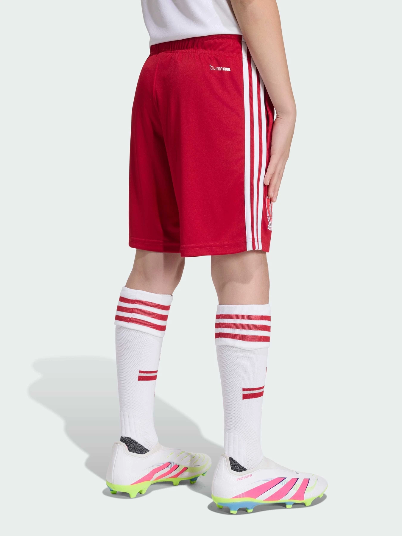 Шорты Adidas модель KB8309 Шорты Adidas модель KB8309 Фото