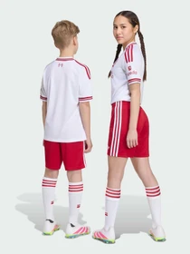 Шорты Adidas модель KB8309 Фото
