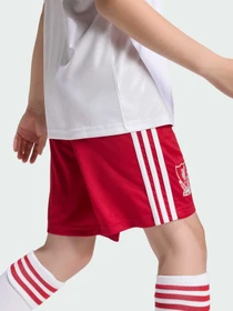 Шорты Adidas модель KB8309 Фото