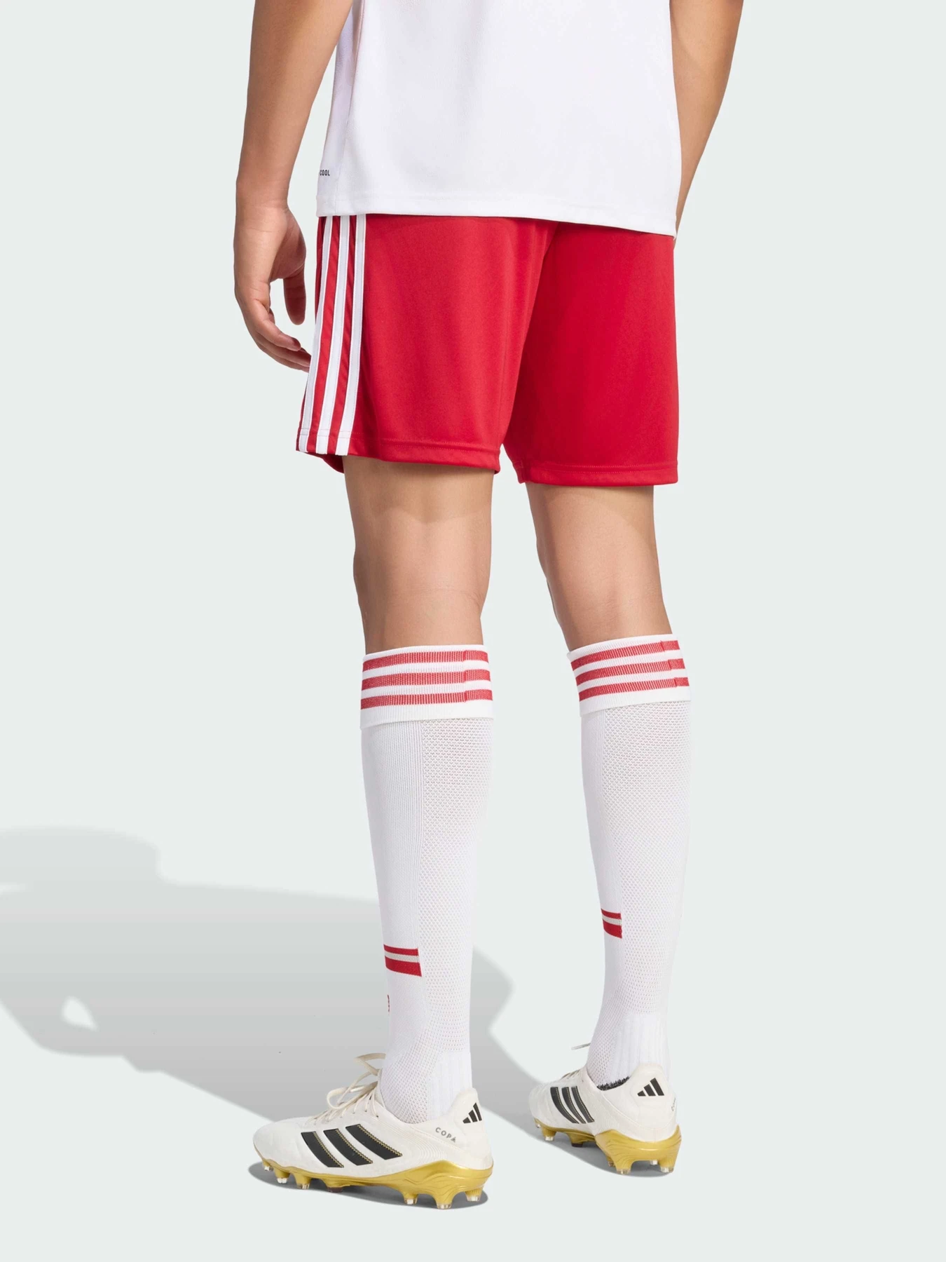 Шорты Adidas модель KE8890 Шорты Adidas модель KE8890 Фото