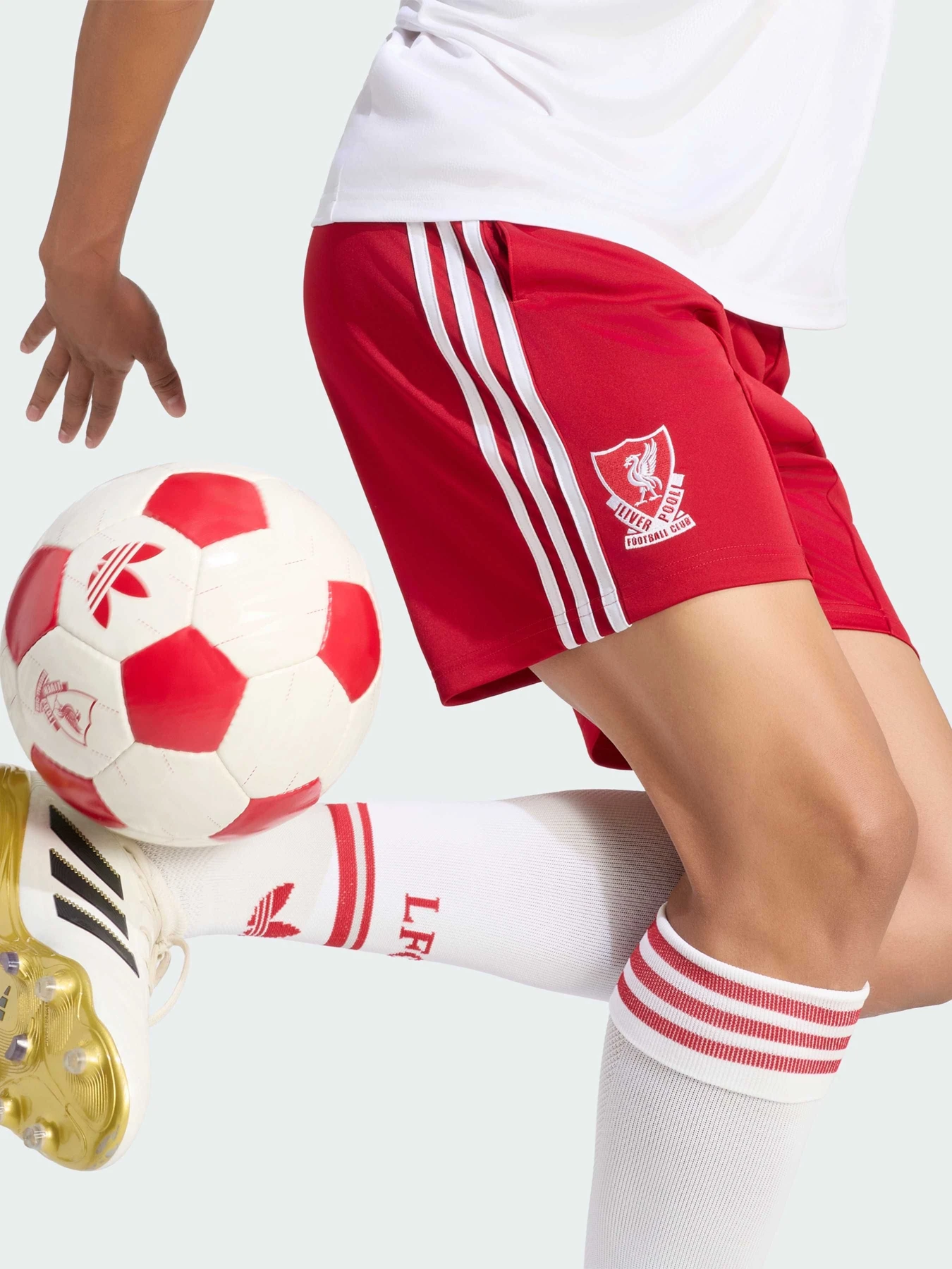 Шорты Adidas модель KE8890 Шорты Adidas модель KE8890 Фото