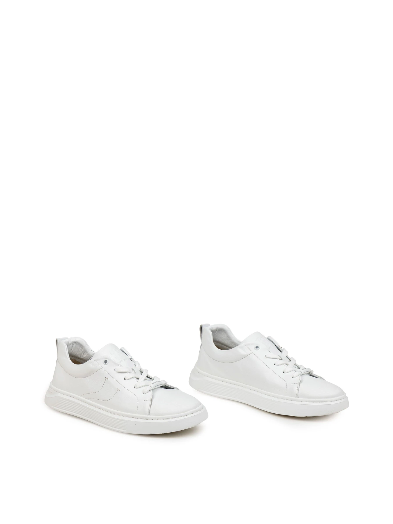 Кеди Alex Bell модель 1176365 Кеди Alex Bell модель 1176365 Фото
