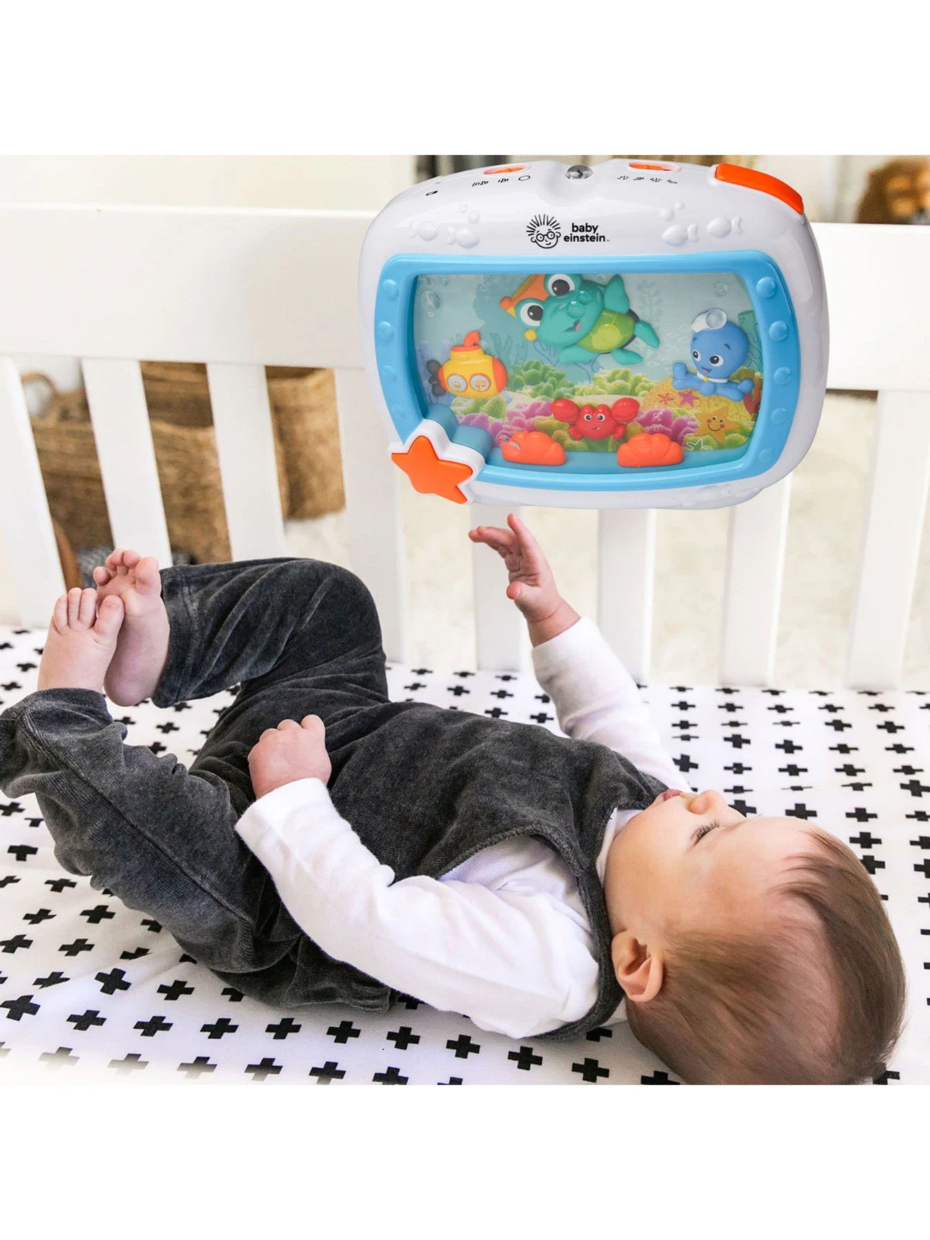 Игрушки для малышей Baby Einstein модель 11058 Игрушки для малышей Baby Einstein модель 11058 Фото